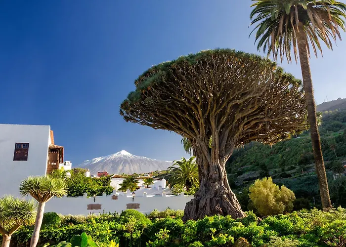 Eden Duke Ocean Views With Ac * Costa Adeje (Tenerife)